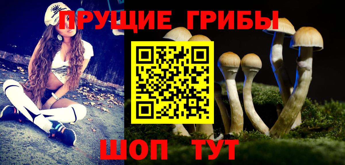 Псилоцибиновые грибы мухоморы  Вход с VPN  Ефремов 